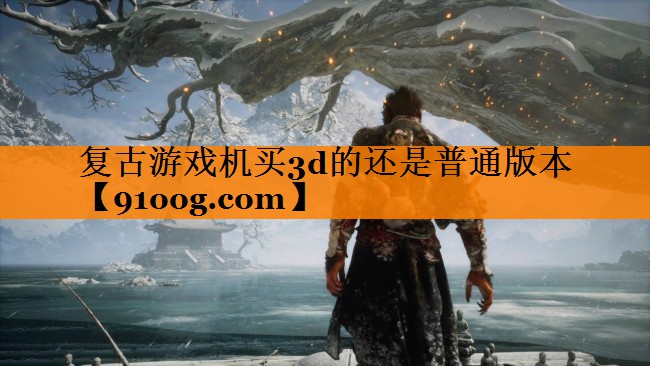 复古游戏机买3d的还是普通版本