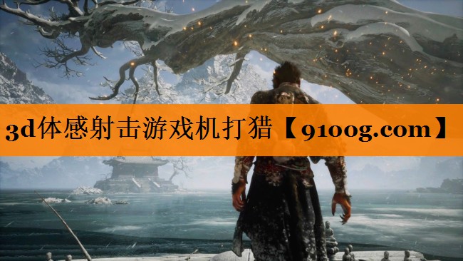 <strong>3d体感射击游戏机打猎</strong>